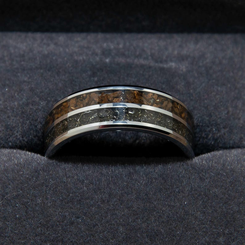 Dinosaur Bone And Meteorite Ring In Tungsten Double Channel Band - Tyrannosaurus Rex Fossil