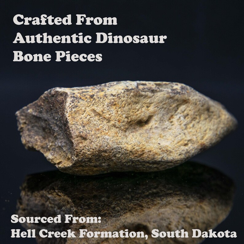 Dinosaur Bone Meteorite Ring | Mens Wedding Band | T-Rex Fossil | Tyrannosaurus Rex | Meteorite Band | Promise Ring | Mens Engagement Ring image 5