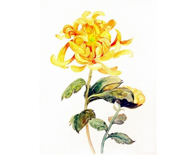 No.105 ORDER Hand Embroidery - Yellow Chrysanthemum