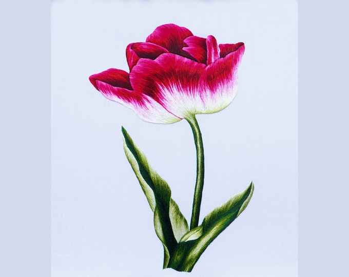 COMPLETED Hand Embroidery - Beauty of Tulip Flowers