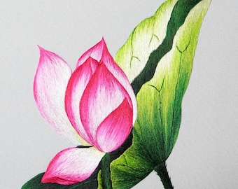 DOWNLOAD FILE - KIT24: "Lotus Flower" | Embroidery Pattern - 05 high quality .jpg image files