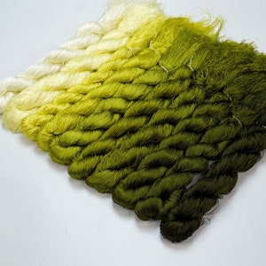 May include: A gradient of green silk thread, ranging from a pale yellow to a deep forest green. The thread is arranged in a fan shape, with the lightest shade at the top and the darkest shade at the bottom.