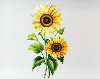 KIT 241 - Sunflower Hand Embroidery Kit – Small Floral Embroidery Pattern, DIY Embroidery Kit | ThuongEmbroidery