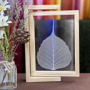 Natural Bodhi Skeleton Leaves used for hand embroidery
