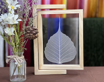 Natural Bodhi Skeleton Leaves used for hand embroidery