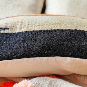 May include: Close-up of a beige and black striped throw pillow with a black fuzzy texture. The pillow has a white border and is made of a soft, woven fabric.