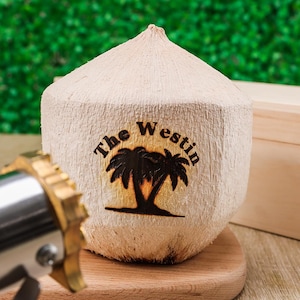Fruit Branding Iron, Coconut tree logo Branding iron,BBQ Brand Iron,Steak Branding,Burger Branding Iron,Personalized Logo.