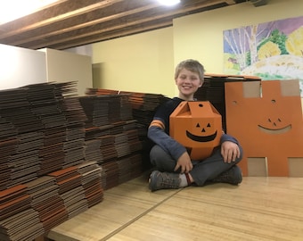 3 SPINYATAS, the flat boxes to assemble