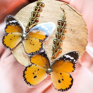 May include: A pair of gold chain earrings with butterfly charms. The butterflies are clear with orange and black markings.