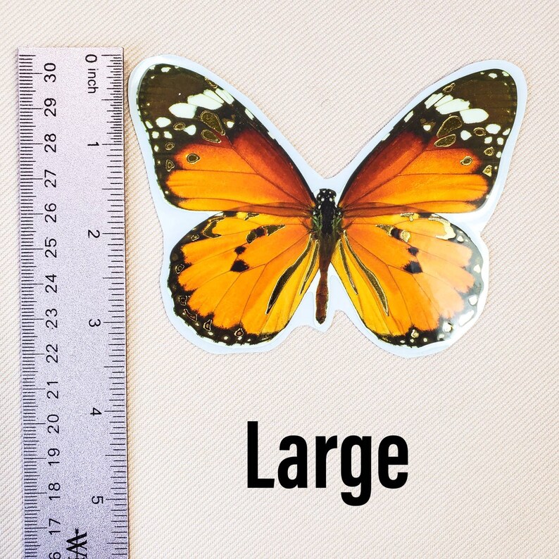 K&ouml;nnte beinhalten: Ein gro&szlig;er, orangefarbener und schwarzer Schmetterlingsaufkleber auf wei&szlig;em Hintergrund. Der Aufkleber ist etwa 7,5 cm breit. Das Wort "Large" ist unter dem Schmetterling gedruckt.