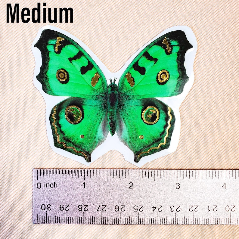 K&ouml;nnte beinhalten: Ein gr&uuml;ner Schmetterlingsaufkleber mit goldenen Akzenten und einem Lineal als Gr&ouml;&szlig;enreferenz. Der Schmetterling ist etwa 7,5 cm breit.