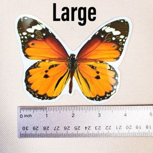 K&ouml;nnte beinhalten: Ein gro&szlig;er Aufkleber mit einem orange-schwarzen Schmetterling auf wei&szlig;em Hintergrund. Der Aufkleber ist etwa 7,5 cm breit. Das Wort "Large" ist &uuml;ber dem Schmetterling gedruckt.
