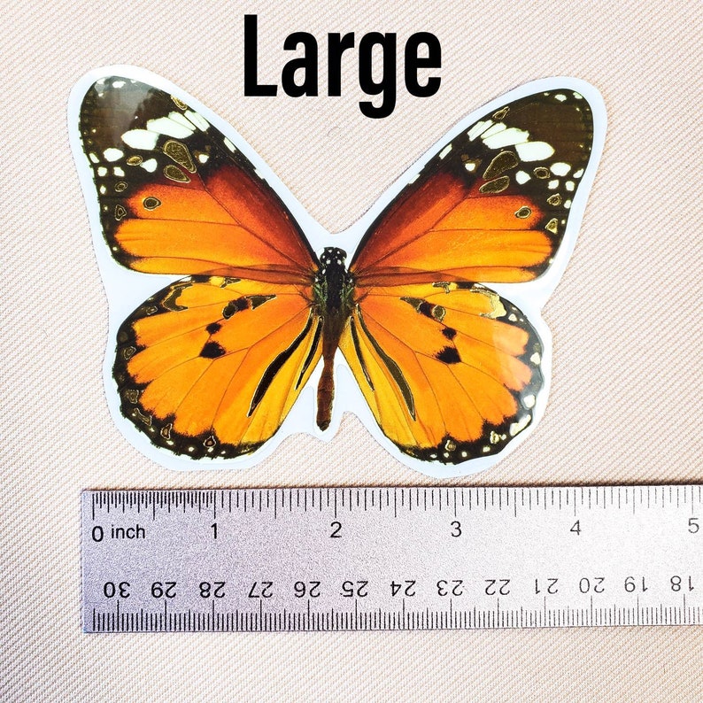 K&ouml;nnte beinhalten: Ein gro&szlig;er Aufkleber mit einem orange-schwarzen Schmetterling auf wei&szlig;em Hintergrund. Der Aufkleber ist etwa 7,5 cm breit. Das Wort "Large" ist &uuml;ber dem Schmetterling gedruckt.