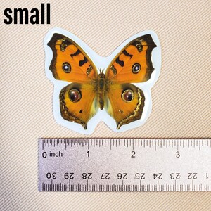 K&ouml;nnte beinhalten: Ein Nahaufnahme eines Schmetterlingsaufklebers mit braunen, orangefarbenen und schwarzen Fl&uuml;geln. Der Aufkleber ist etwa 5 cm breit und liegt auf einem Lineal zur Gr&ouml;&szlig;enreferenz.