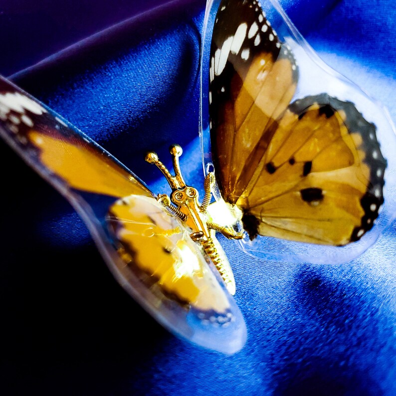 Real Butterfly Hair Clips Y2K Butterfly Hair Clips 90's Etsy