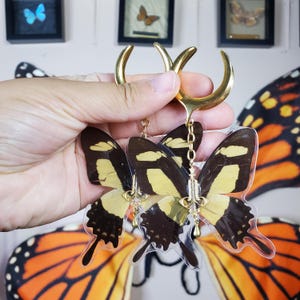 May include: A pair of gold hoop earrings with a dangling butterfly charm. The butterflies are black, yellow, and white with clear wings.