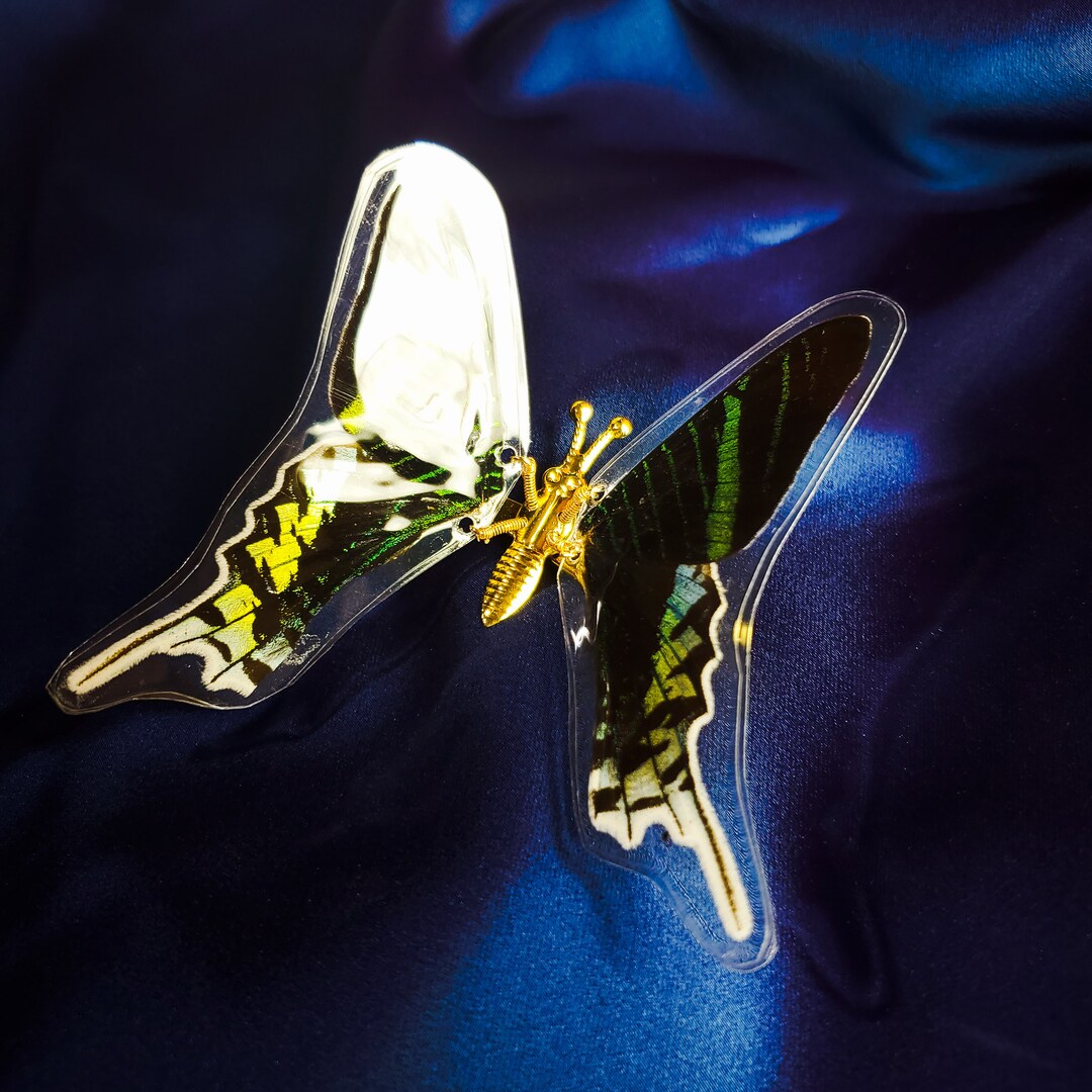 Real Butterfly Hair Clips Y2K Butterfly Hair Clips 90's Etsy