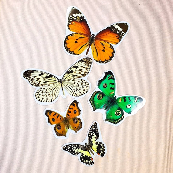 Butterfly Stickers, Die Cut Laminated Paper Butterfly Stickers, Variety Butterfly Sticker Pack, Realistic Butterfly Stickers, Magical Gift