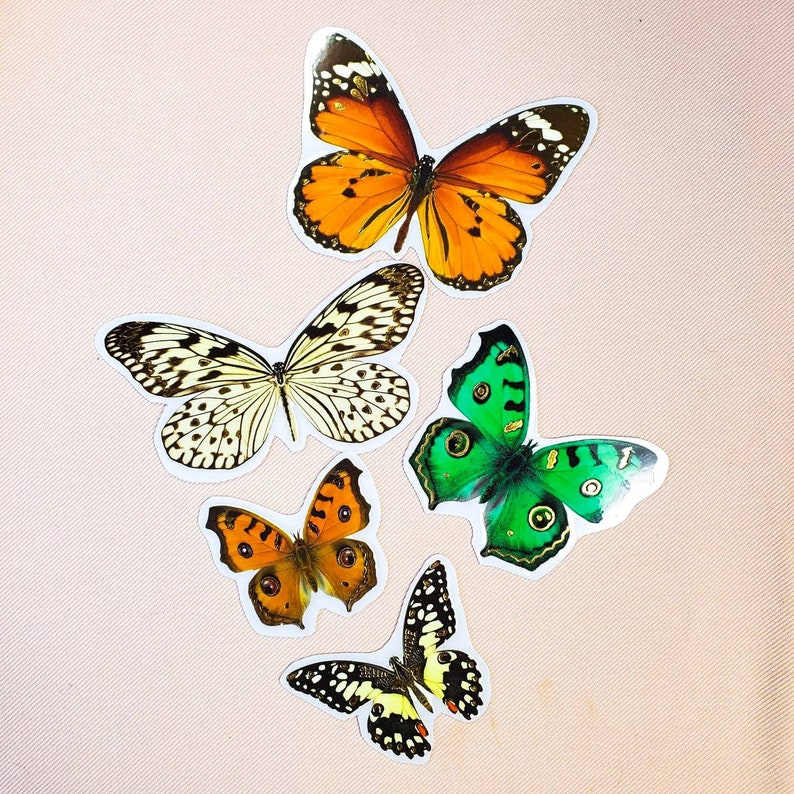 K&ouml;nnte beinhalten: F&uuml;nf bunte Schmetterlingsaufkleber mit verschiedenen Mustern und Farben. Die Schmetterlinge sind orange, wei&szlig;, gr&uuml;n und braun.