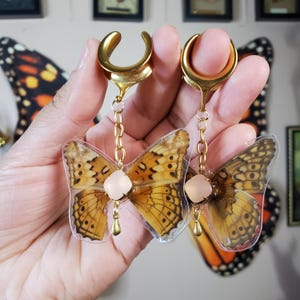 May include: A pair of gold ear gauges with butterfly wings and pink stones hanging from them.