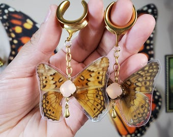 Véritables manomètres papillon, support de 19 mm de diamètre