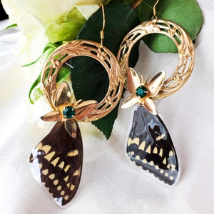 Real Butterfly Wing Earrings, Jewelry for Fairy, Fantasy Cosplay, Oddities and Curiosities, Fairycore Accessories, Black Swallowtail
