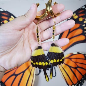 May include: A pair of gold-toned earrings with black beads and clear acrylic butterfly wings. The wings are yellow, black, and white.