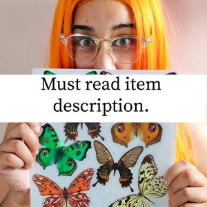 K&ouml;nnte beinhalten: Eine wei&szlig;e Karte mit verschiedenen bunten Schmetterlingsaufklebern. Auf der Karte steht der Text "Must read item description."