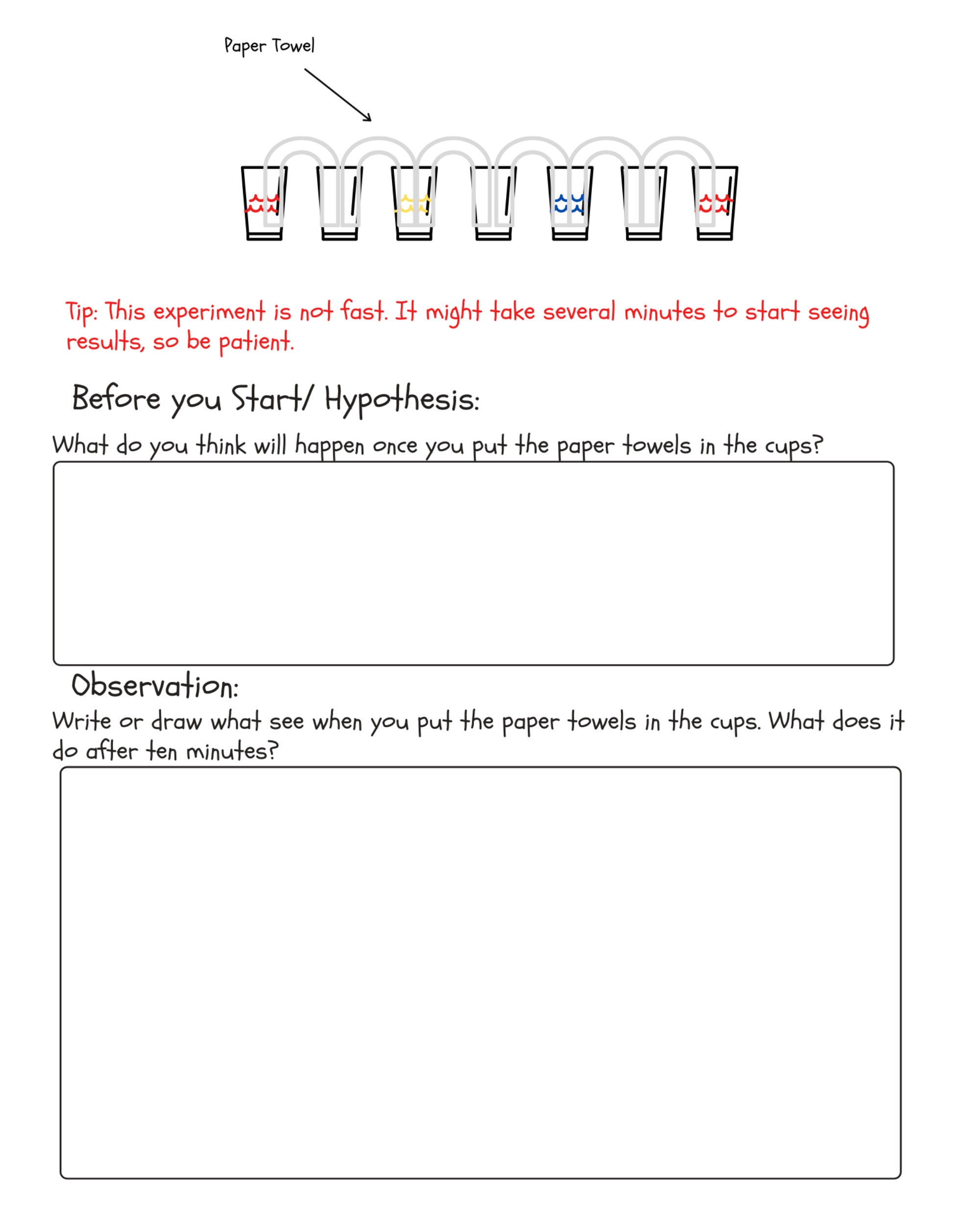 Teach Kids Science Easy Science Experiment Scientific | Etsy