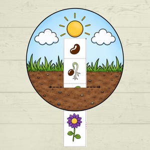 May include: A circular educational graphic showing a plant life cycle with a sliding vertical strip. The scene features a yellow sun, white clouds, green grass, and brown soil. The strip depicts a seed, a sprouting seed, and a purple flower.