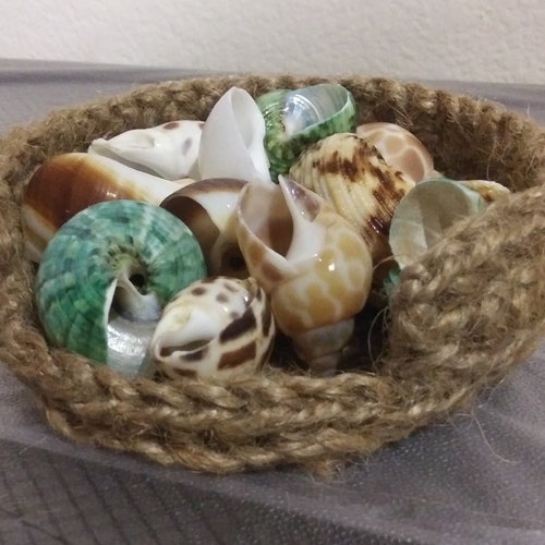 Crocheted Jute shell Shop for Hermit Crabs shells Etsy