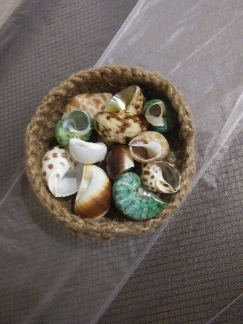Crocheted Jute shell Shop for Hermit Crabs shells Etsy