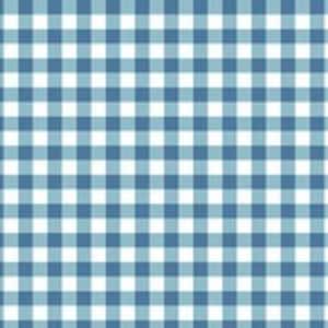 May include: A blue and white gingham fabric with a repeating pattern of squares.