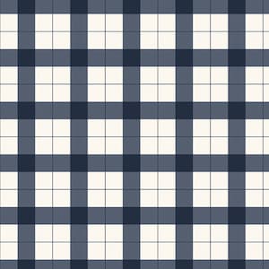 May include: A seamless pattern of alternating white and dark blue squares, creating a checkered design.