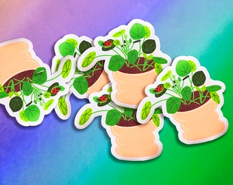 Plant VINYL STICKER- Pilea waterproof sticker, die-cut water bottle stickers, laptop sticker,