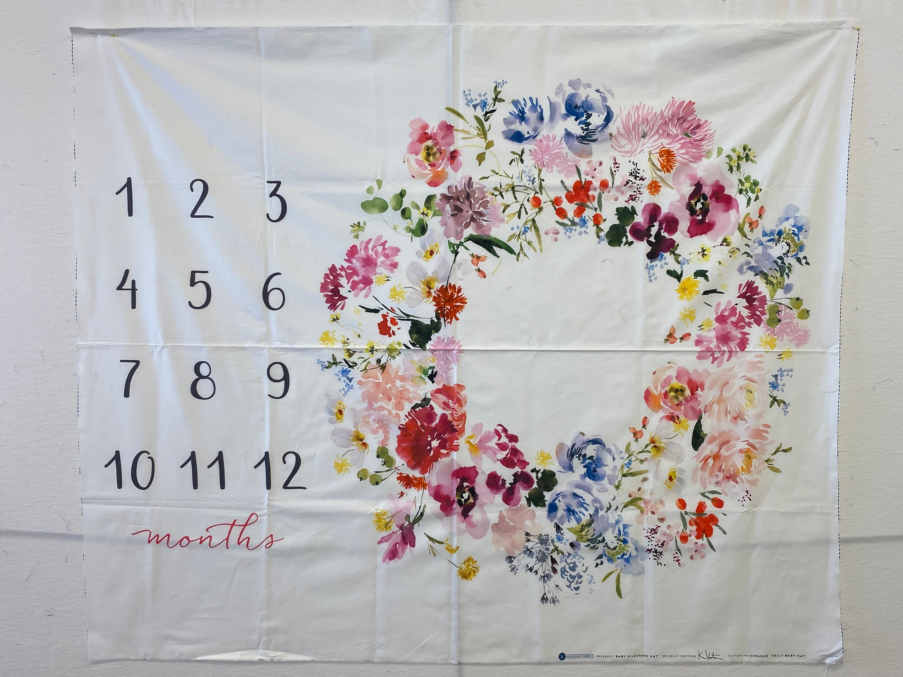 Baby Milestone Panel for Blanket Etsy