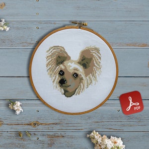 May include: A cross-stitch embroidery hoop with a brown and white dog with long hair. The hoop is on a light blue wooden surface with a few strands of embroidery floss and white flowers.