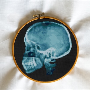 May include: A close-up of a cross-stitch embroidery hoop featuring a blue and black image of a human skull in profile.