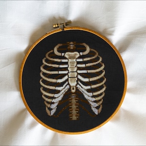 Ribs, Chest, Bones, Skeleton, Brains, Anatomy, Autopsy, Doctor, Hospital, Organs, Medic  - Modern Cross Stitch, Wall Art, X stitch pattern