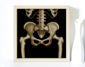 May include: A black and white image of a human skeleton, focusing on the pelvic region. The bones are detailed and realistic, with a focus on the hip bones and the surrounding skeletal structure.
