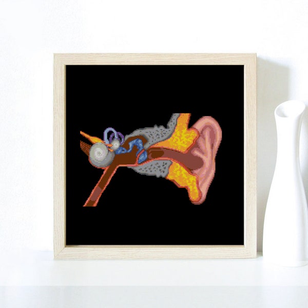 Ear, Peripheral hearing, Pinna, Canal, Anatomy, Autopsy, Doctor, Hospital, Organs, Medic  - Modern Cross Stitch, Wall Art, X stitch pattern