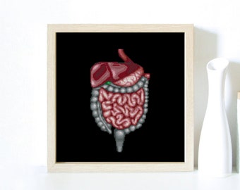 Digestive System, Stomach, Tract, Anatomy, Autopsy, Doctor, Hospital, Organs, Medic  - Modern Cross Stitch, Wall Art, X stitch pattern