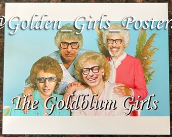 Puede incluir: Un póster con cuatro personas, cada una con gafas, posando frente a un fondo azul claro. El póster tiene el texto "The Goldblum Girls" en la parte inferior y "@Golden_Girls_Posters" en la parte superior.