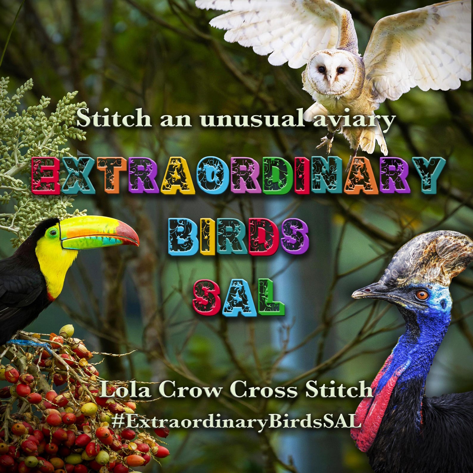 Extraordinary Birds SAL from Lola Crow Cross Stitch