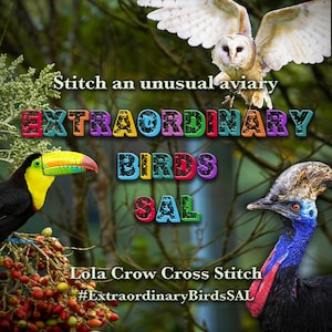 Extraordinary Birds SAL in progress - Stitch Along Cross Stitch Pattern - PDF Instant Download