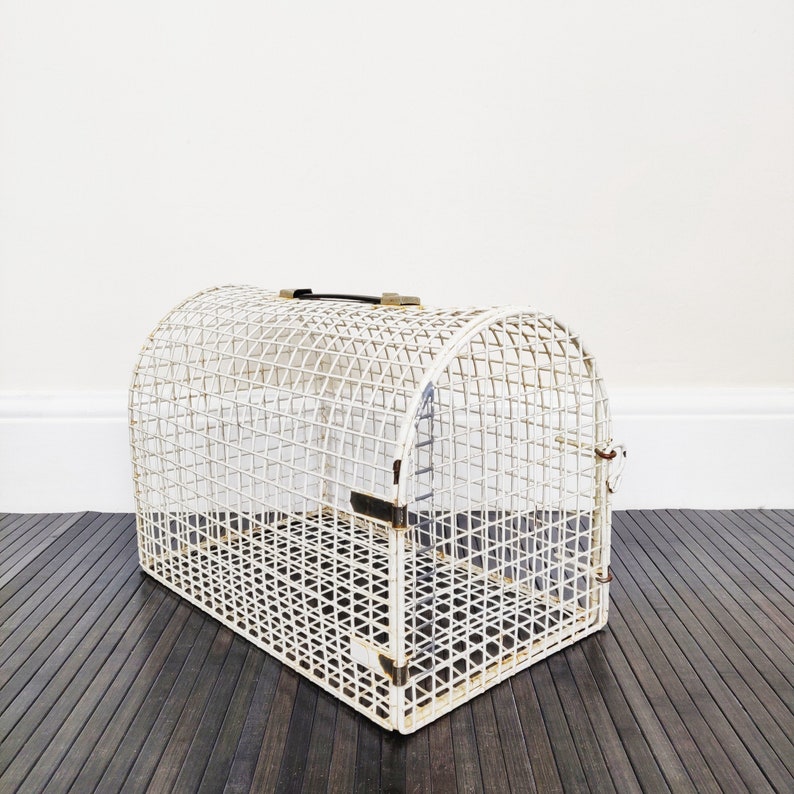 wire cat carrier