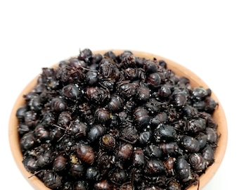4 oz CHICATANAS  Toasted ants from OAXACA