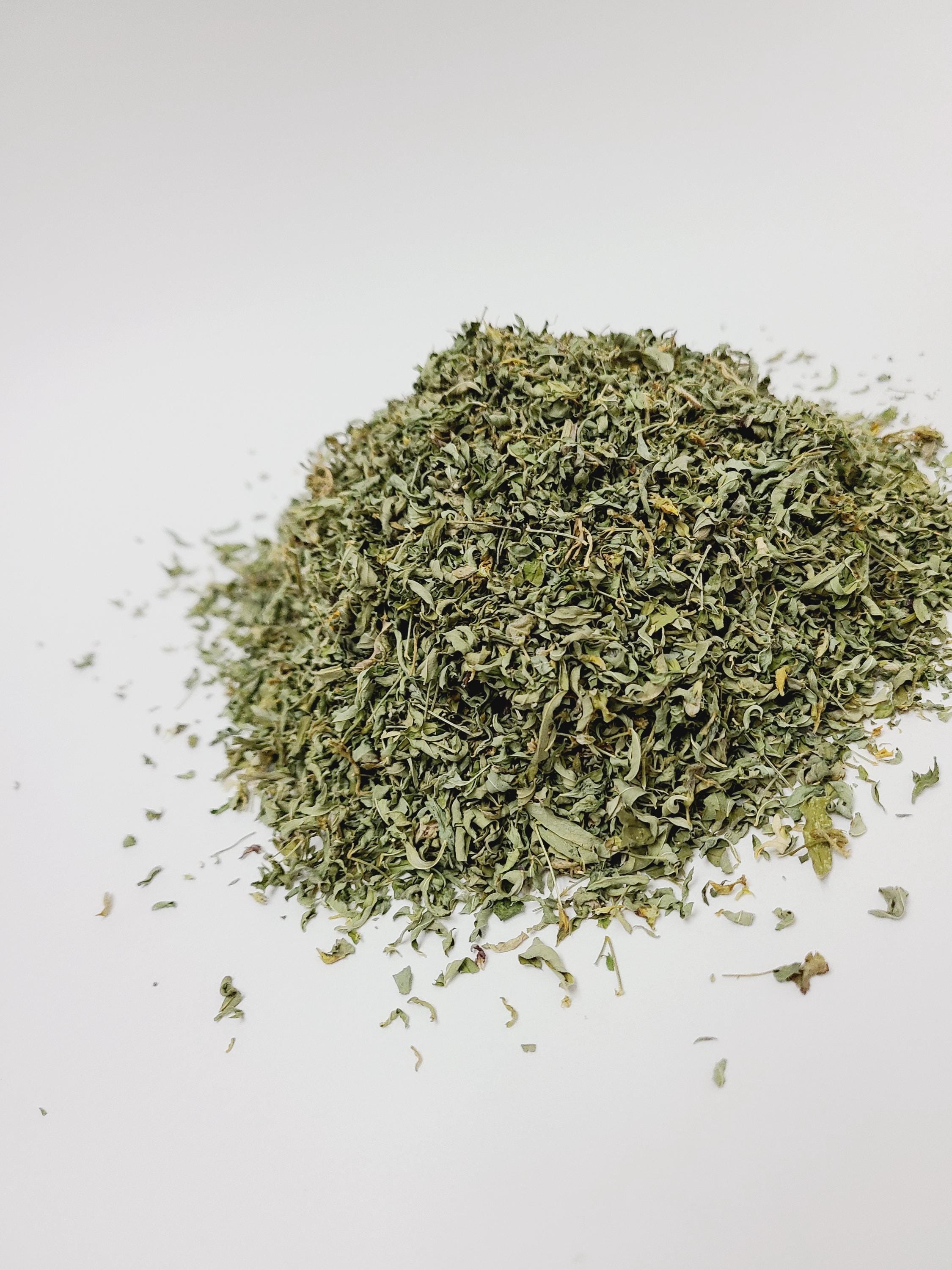 CHEPIL SECO - Dried Chepil Leaves From OAXACA Mex (100 Gr/3.5 Oz) - Etsy