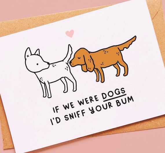 Funny dog cheap valentine pictures