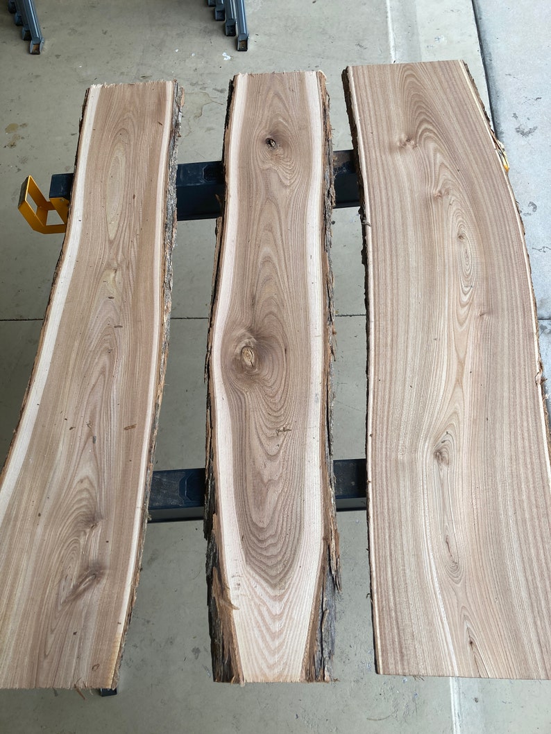 48 Elm Live Edge Slabs 10 Pack Etsy